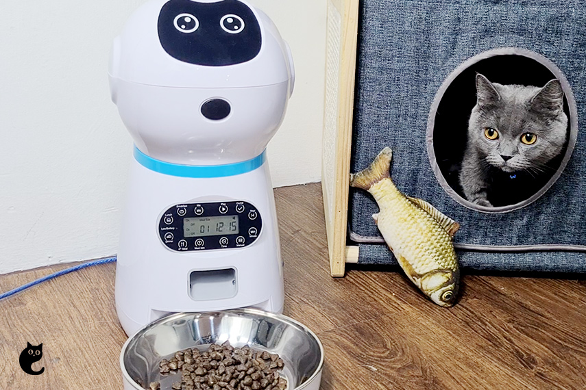 Believe Us - You Should Get This Rubeku Smart Automatic Pet Feeder